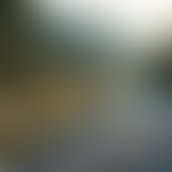 Why Guardrail Fencing Is Essential for Safety Beyond Commercial Use