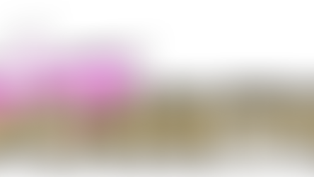 Project Plan: SynthWave Video Game