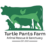 Screenshot 2025-11-18 173206.png