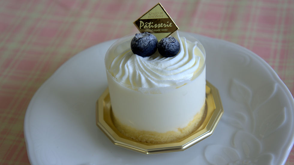 レアチーズケーキ 230円