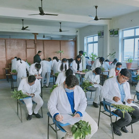 BAMS 2nd Year Practical Dravyaguna Vigyan Jeevak Ayurved Medical College