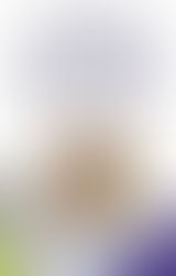 How Children Succeed and SEL in School 