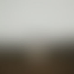 A woman sitting on retreat in silence and solitude