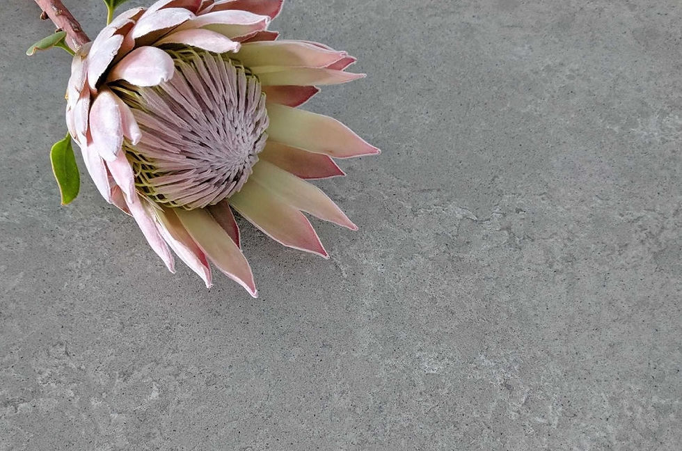 Concrete Matte