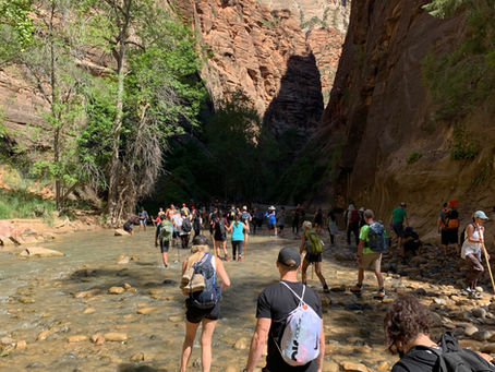 How to Outsmart the Crowds: Peak Season Tips for National Parks