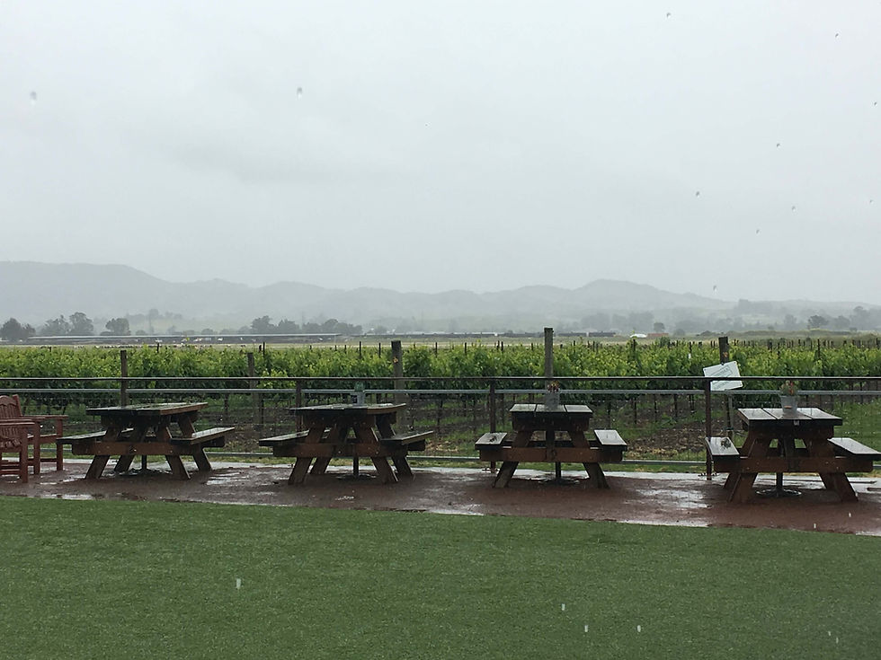 Larson Family Winery view