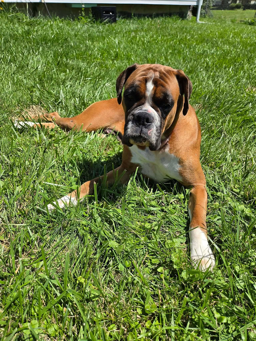 Mama 6 Evie - Pending Adoption