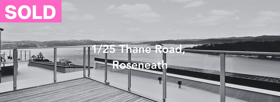 146 RakauRd, Hataitai (1640 × 800px) (1640 × 600px) - 3 (1).PNG