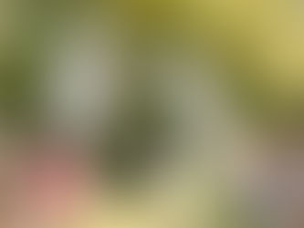 Michigan backyard wedding ceremony with white drapery hanging from trees, greenery and white floral arrangements, and live brass band music in Bruce Township