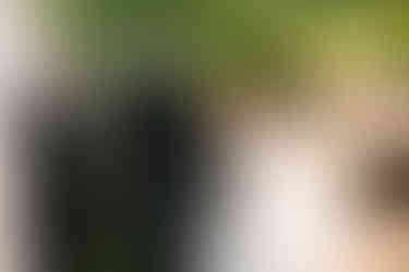 Bride and groom exchanging vows at a Michigan backyard wedding under trees with white drapery and lush greenery