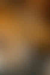 Elegant engagement portraits at Fisher Building Detroit architecture