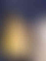 Scenic view of Megan posing in her graduation gown in front of the Adrian College athletic field gates, capturing the essence of her college journey.