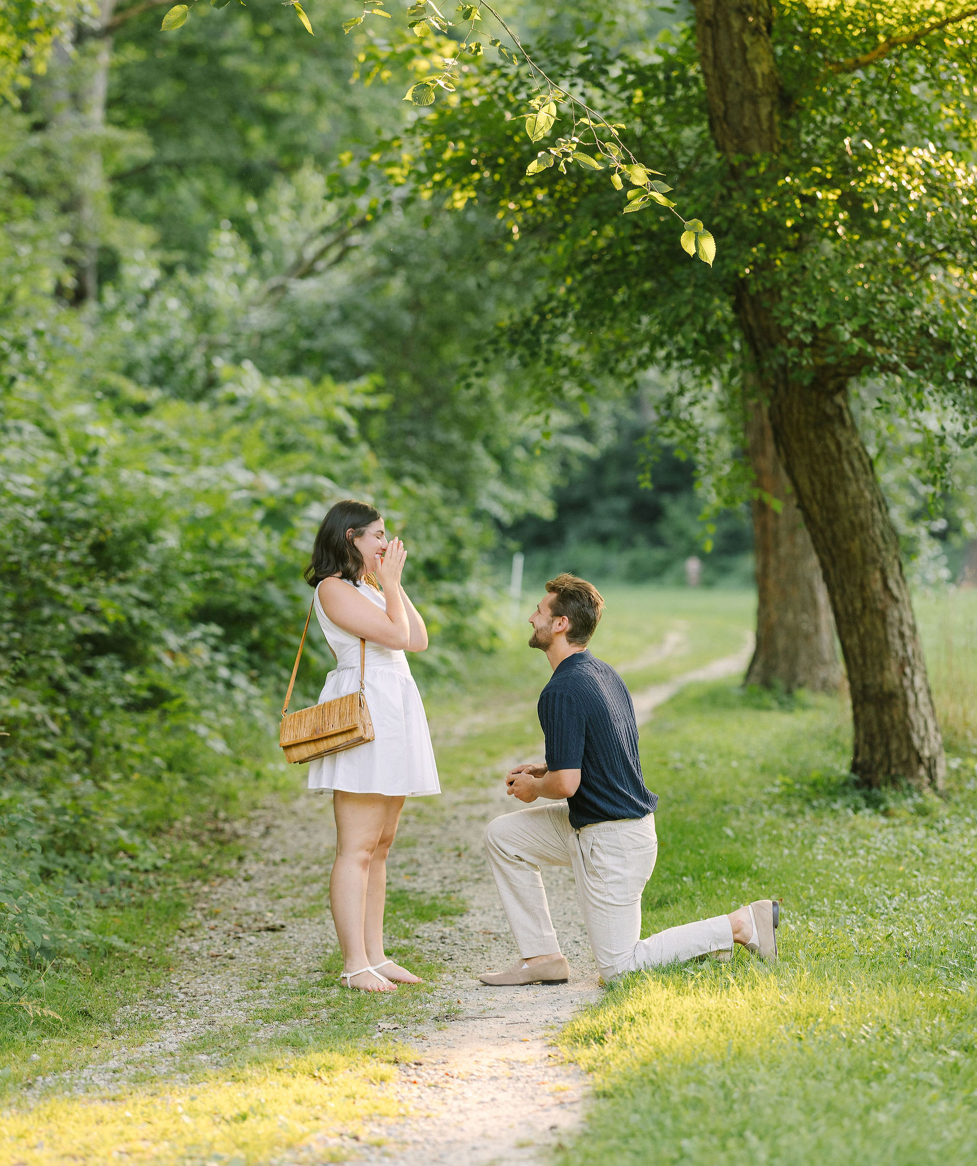 Engagement proposal photos at Nichols Arboretum Ann Arbor surrounded by tall trees and greenery