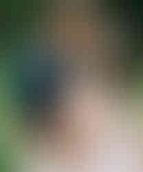 Couple celebrating their proposal at Nichols Arboretum in Ann Arbor, MI after she said yes Intimate proposal moment photographed at Nichols Arboretum, Ann Arbor with natural light