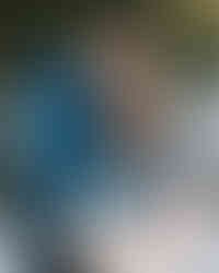 Law Quad engagement session at University of Michigan in winter