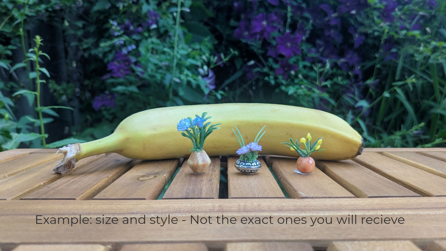 Mini Mystery - Sticky Plants