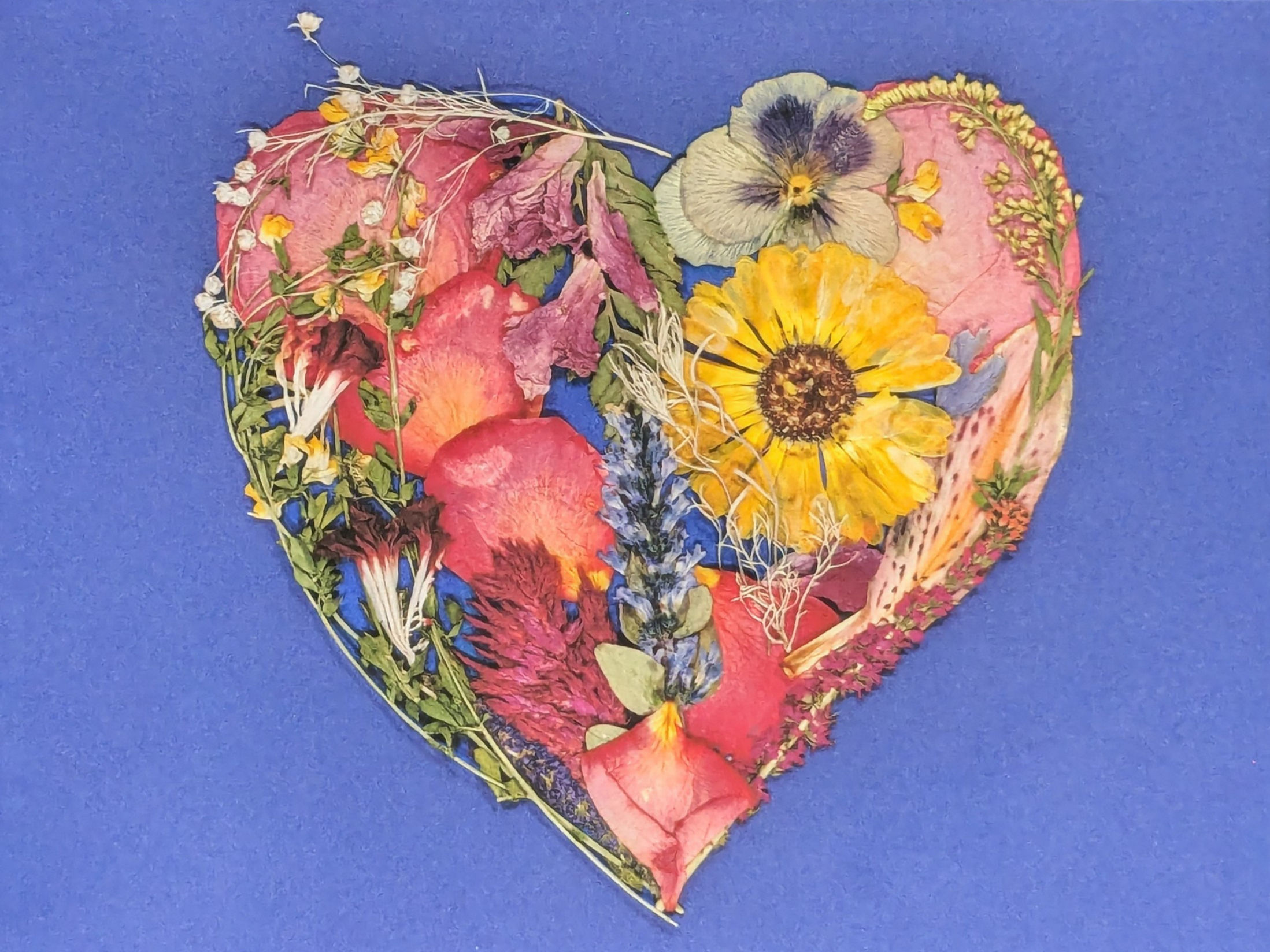 Purple Heart 8x10" Print