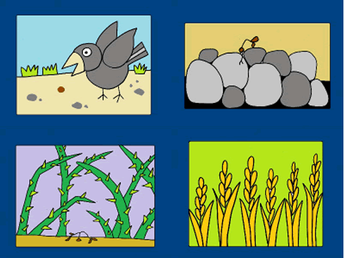 ｢種蒔きのたとえ｣