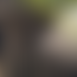 Água e alimentação: a relação invisível entre cada alimento e a preservação da água