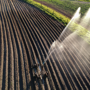 Água e alimentação: a relação invisível entre cada alimento e a preservação da água