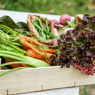 Como planejar suas refeições com os alimentos da CSA