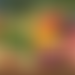 Dia Mundial da Alimentação: refletir, reformular e comer consciente