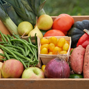 Dia Mundial da Alimentação: refletir, reformular e comer consciente