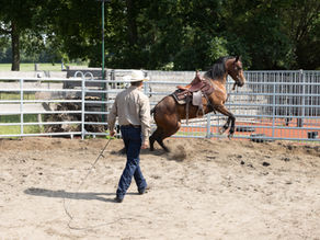 De reis van gedragsverandering!