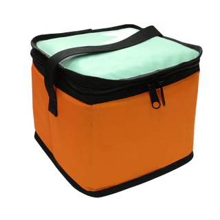 Introduce insulated thermal bag cooler bag outdoor picnic bag high quality material