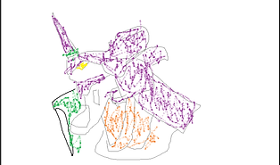 k0NS6d5C.png