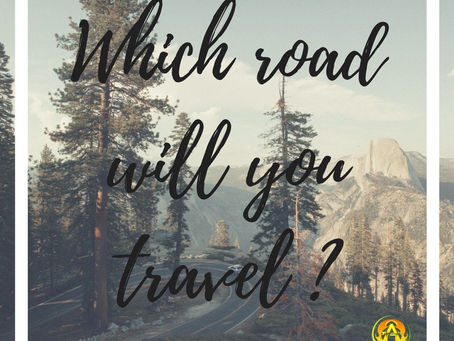 Which road will you take ?In life,there are moments which can lead us to many different directions.