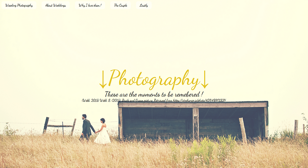 Advanced Web Design Website