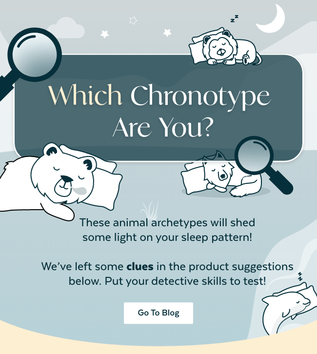 22.10.14---Chronotypes-–-Gif---1.gif