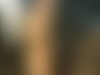 Success: The Year of the Goat