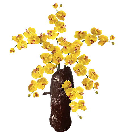 F_Final_Pequeño_1.png