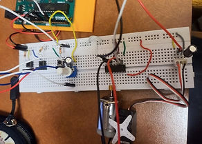 car project pic2.jpg