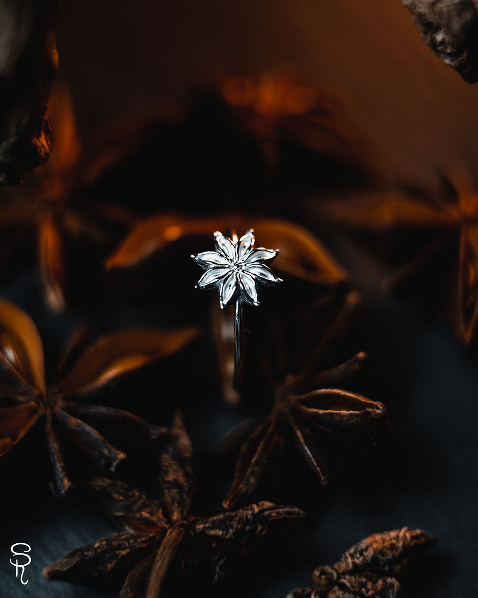 Miniature : Shine Light