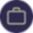 PL_Icon_BusinessCase.png