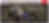 Thumbnail: F1 Williams FW16 Background Graphics For LEGO and MOC Display Cases