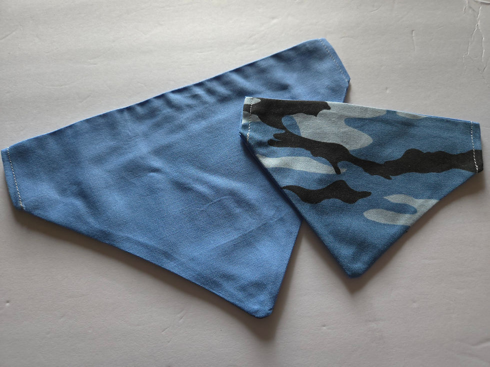 Blue/Camo