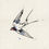 Miniature : Hirondelle