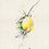 Miniature : Citron