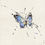 Miniature : Papillon bleu