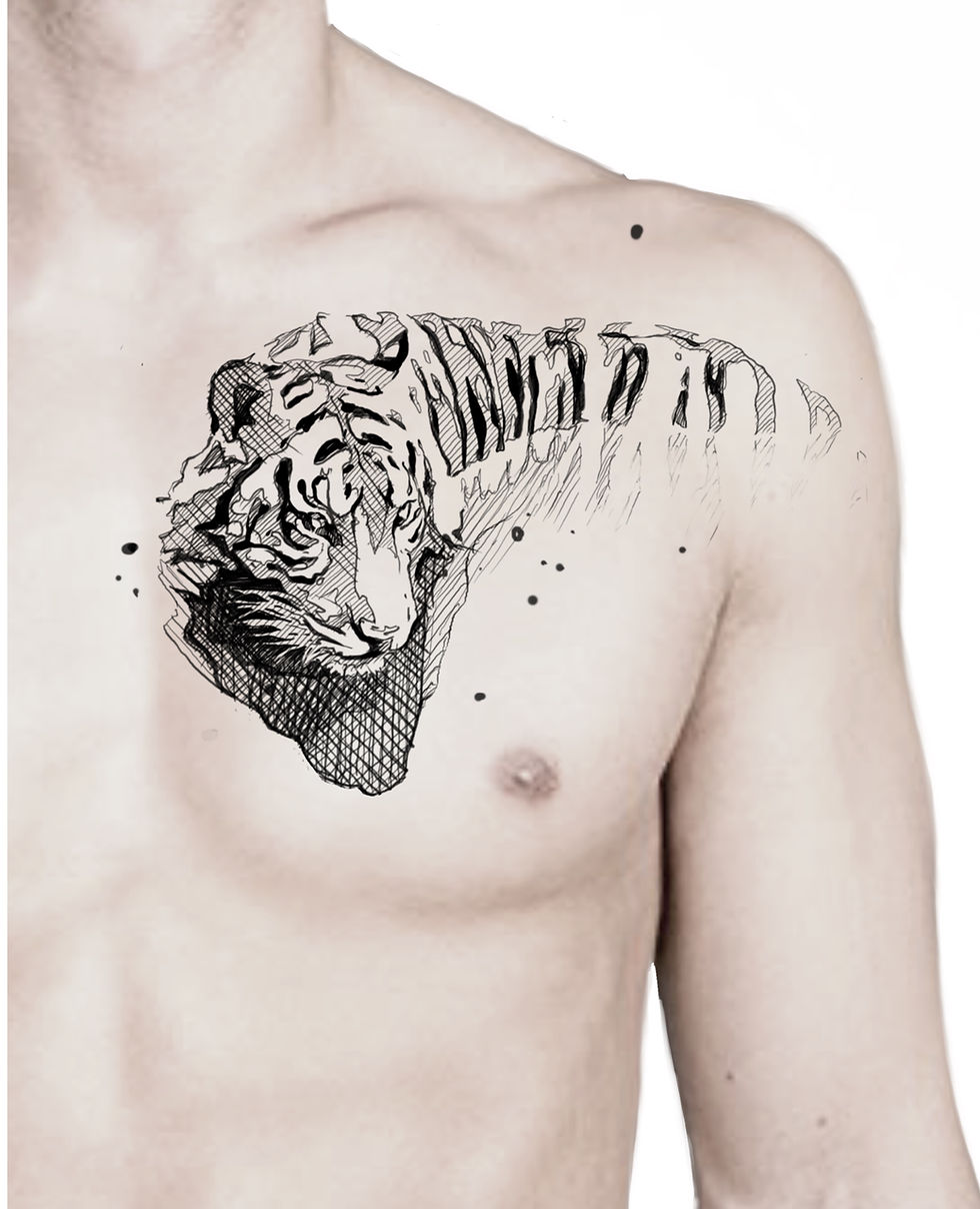 Miniature : Tigre dans l’eau