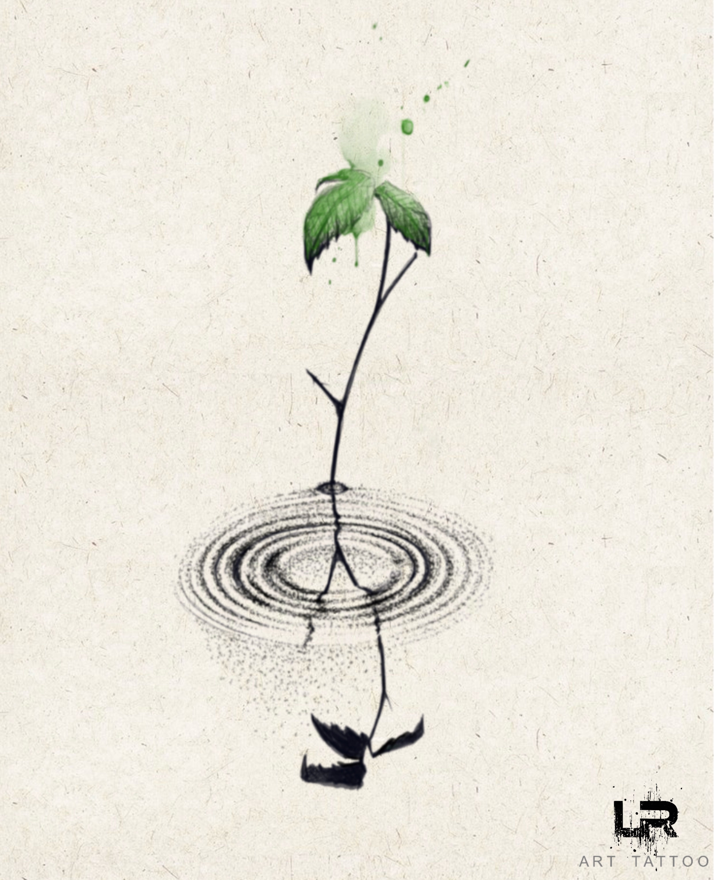 Plante dans l’eau