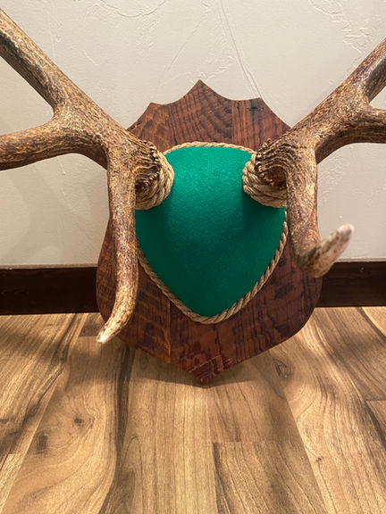 Horn plaque green felt