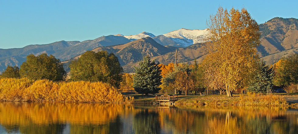 Untitled (Desktop Wallpaper)_edited_edited.jpg