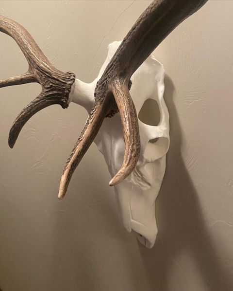 Replica Skull