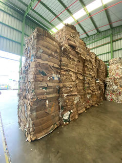 Producción de bandejas de cartón