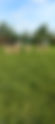 Sports Day 2026